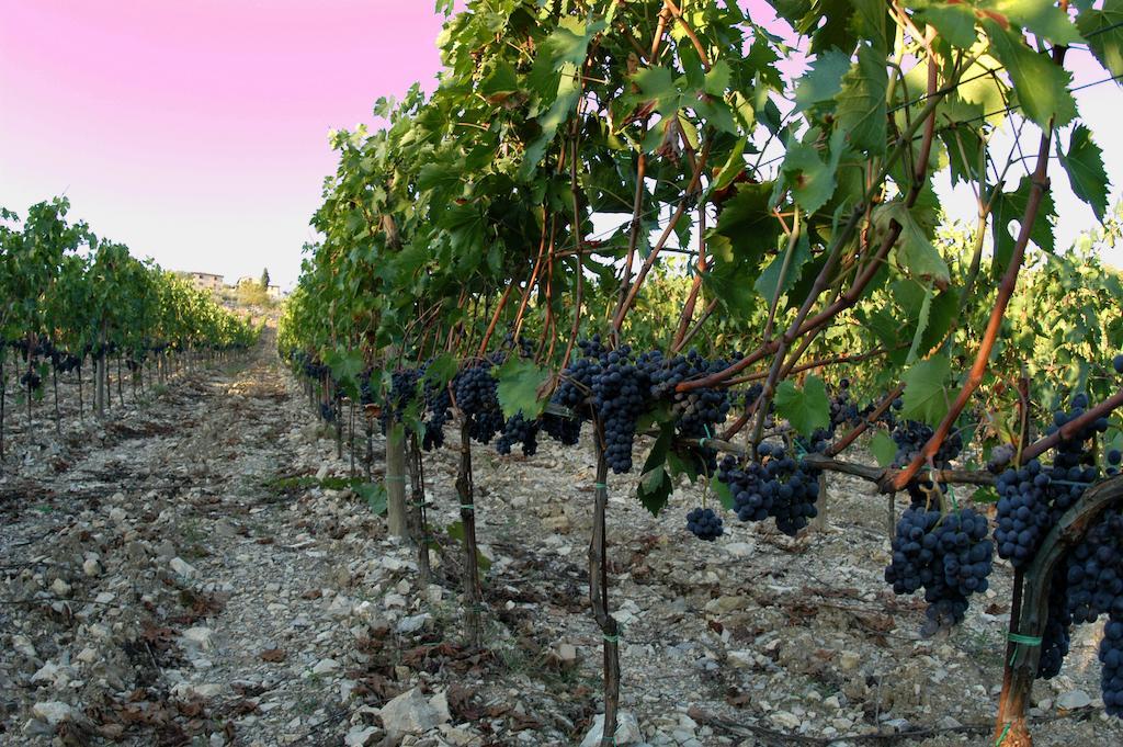 Collelungo Castellina in Chianti Exterior foto